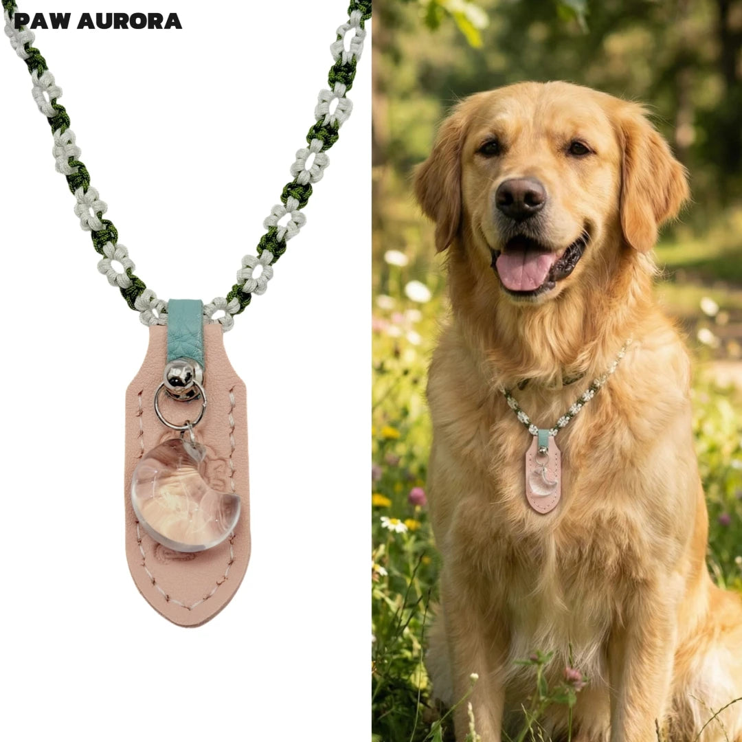 Artisan Crystal & Leather Collar