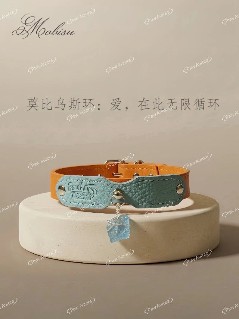 Mobius Crystal Leather Collar