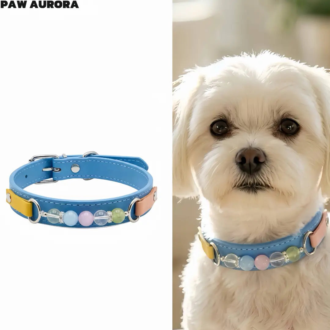 Natural Crystal Pet Charm